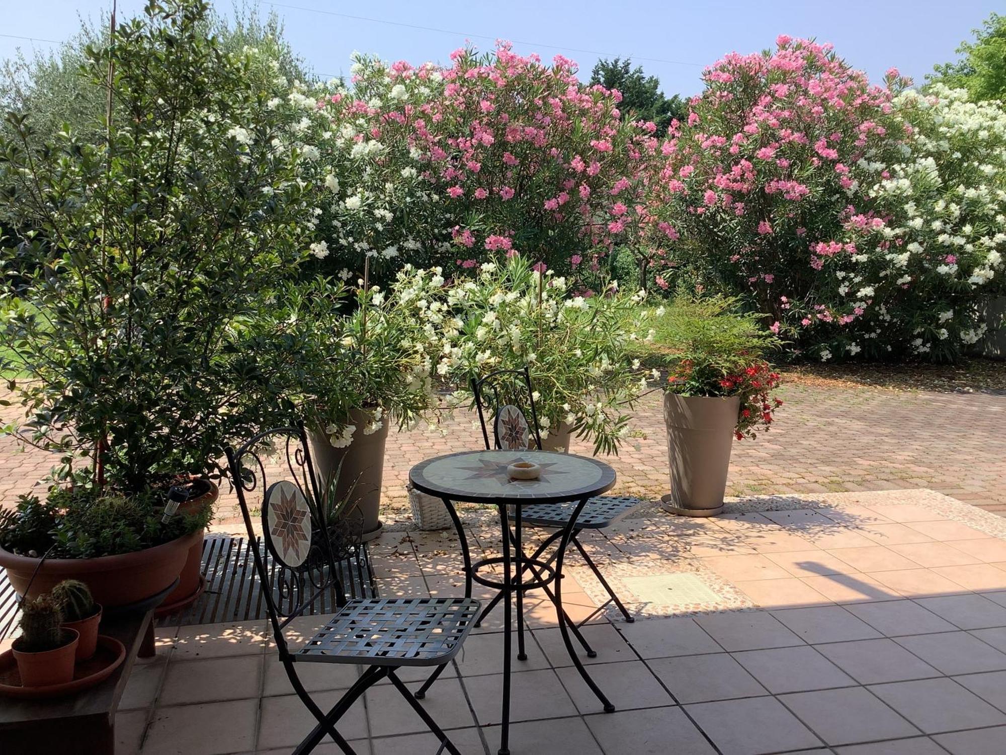 Edyshome Peschiera del Garda Bagian luar foto